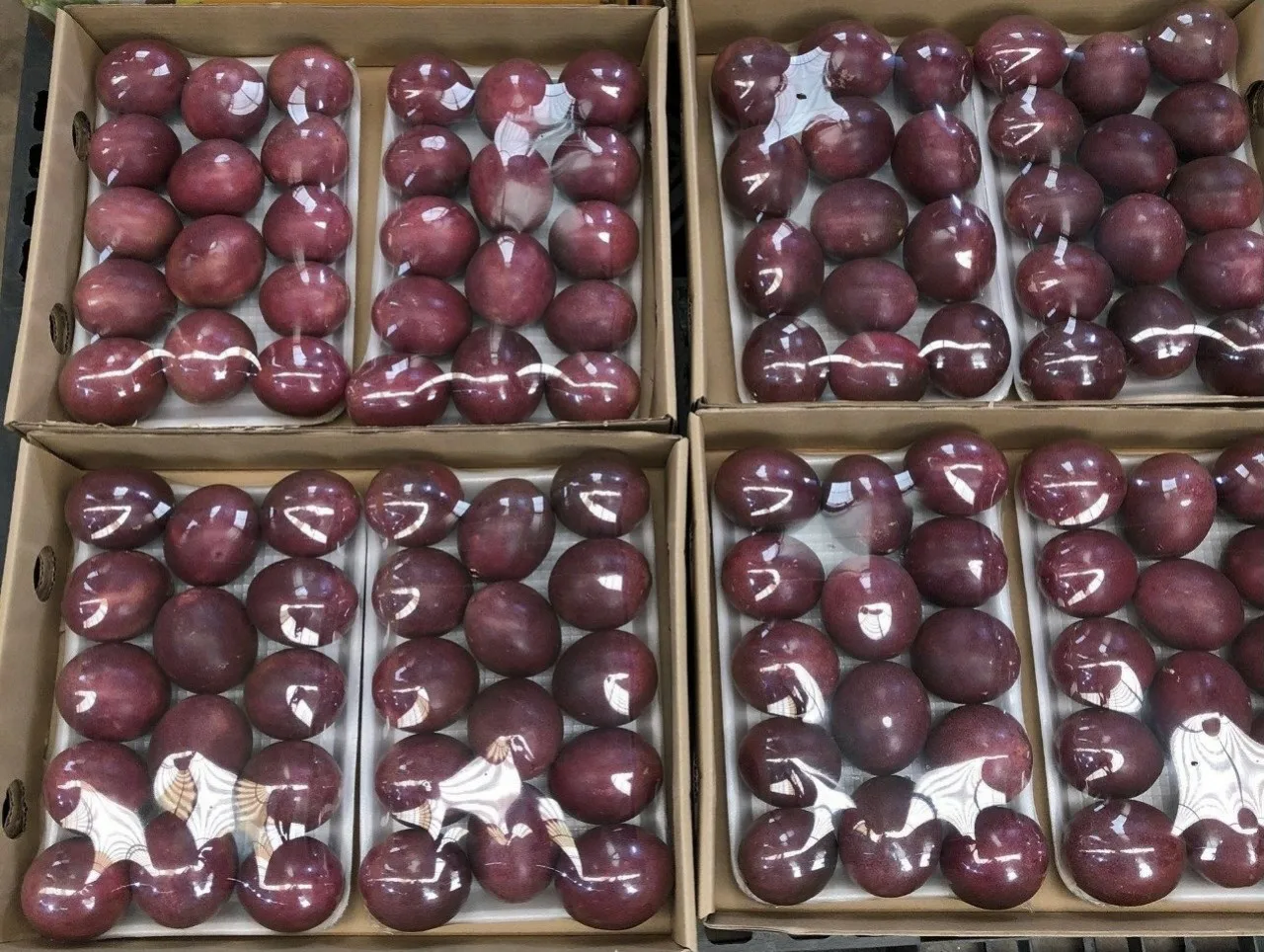 Passion Fruit 2022 From Vietnam, passion fruit seeds, Best Seller 2022