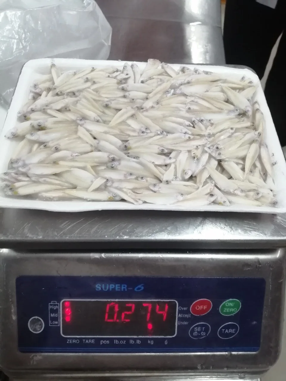 
Wholesale Frozen Anchovy / RIVER ANCHOVY Corica Soborna With High Quality From Vietnam 