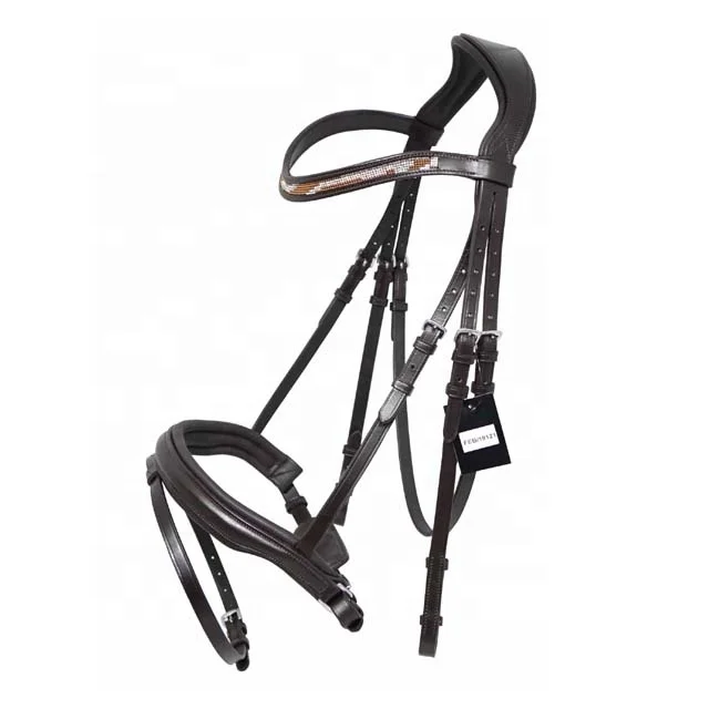 Leather Bridle