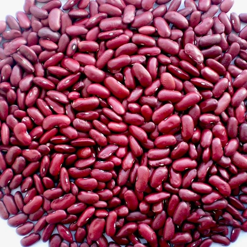 Новый Урожай высококлассной темно-Красной фасоли