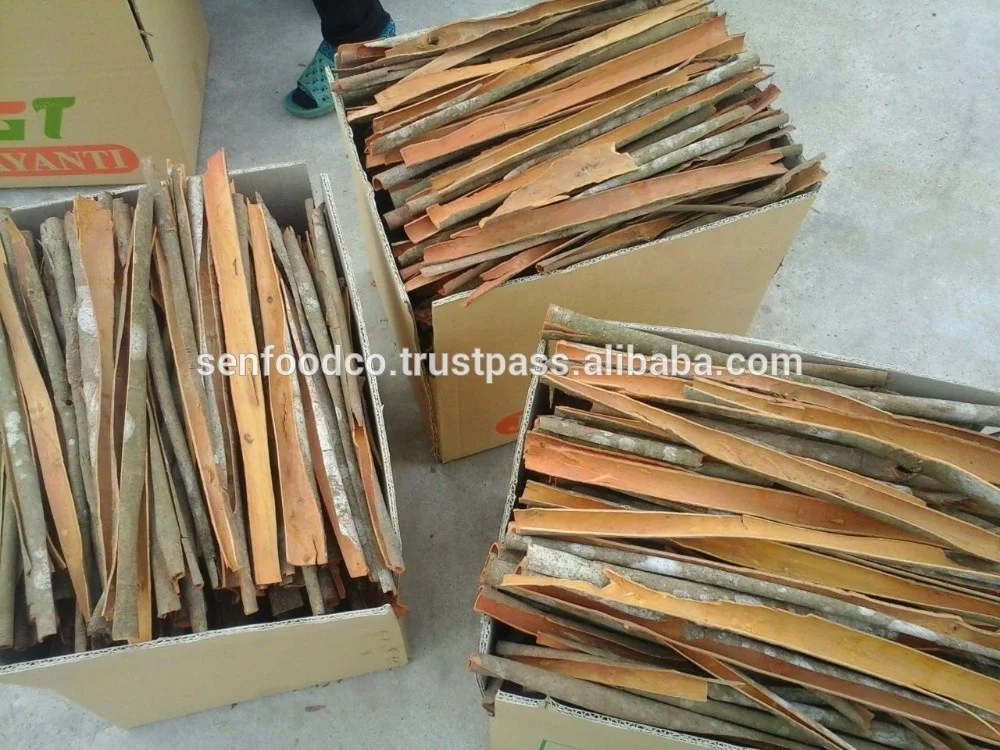CASSIA SPLIT/ CINNAMON SPLIT FROM YEN BAI VIETNAM GOOD PRICE