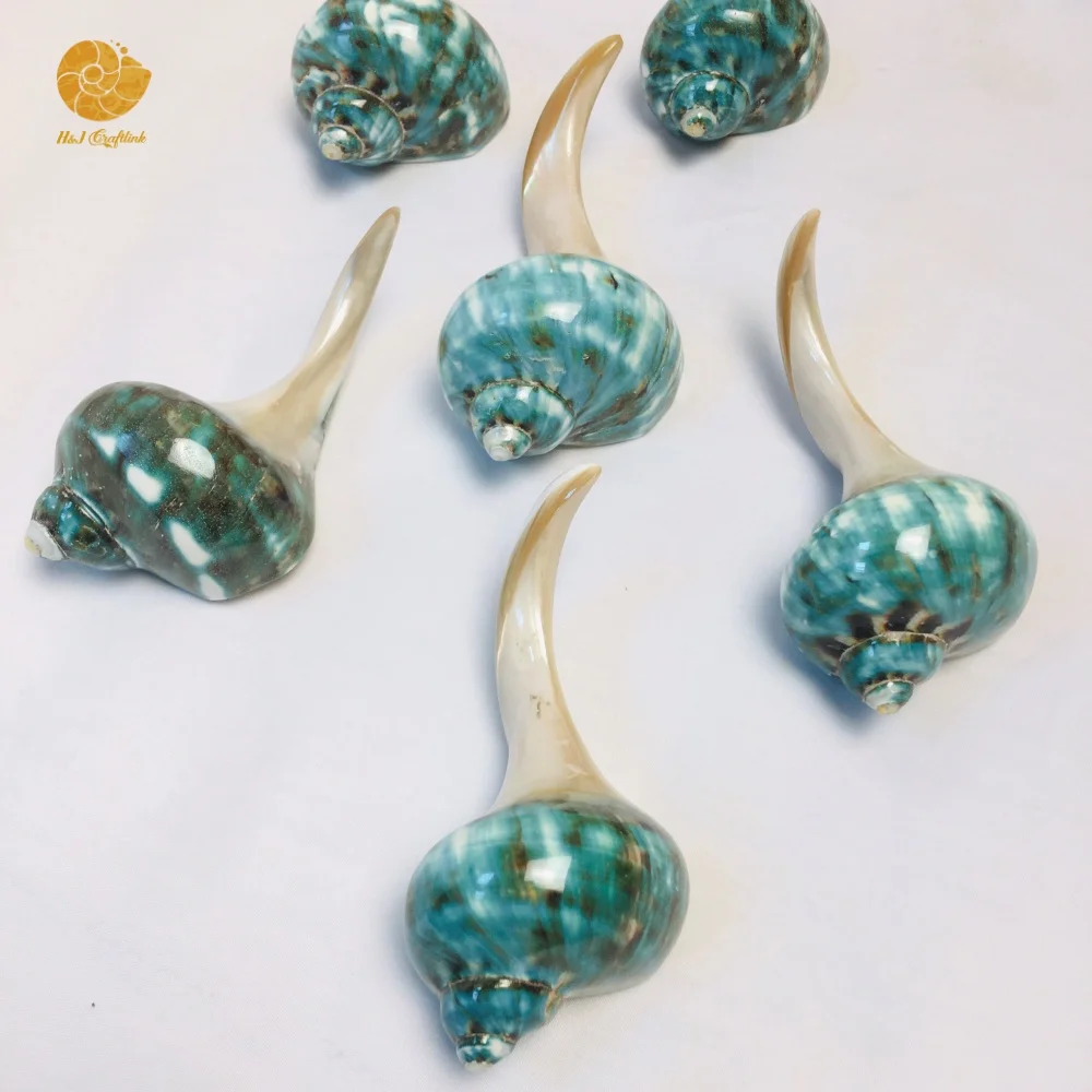 Eco-friendly Chopsticks Holder Polished Green Conch Shell Chopstick Rest Handmade Tableware Chopstick Holder