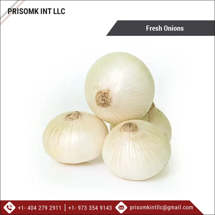 2021 New Crop Good Quality Wholesale Fresh Onions/ Onions Supplier