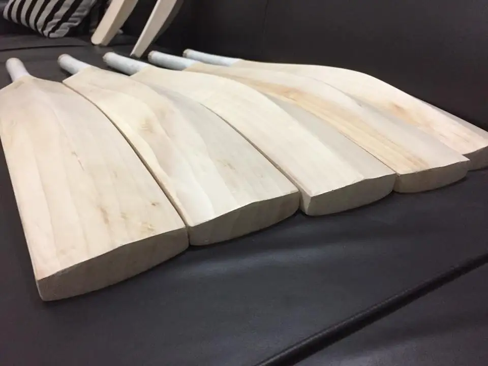 
Plain English Willow Cricket Bat 