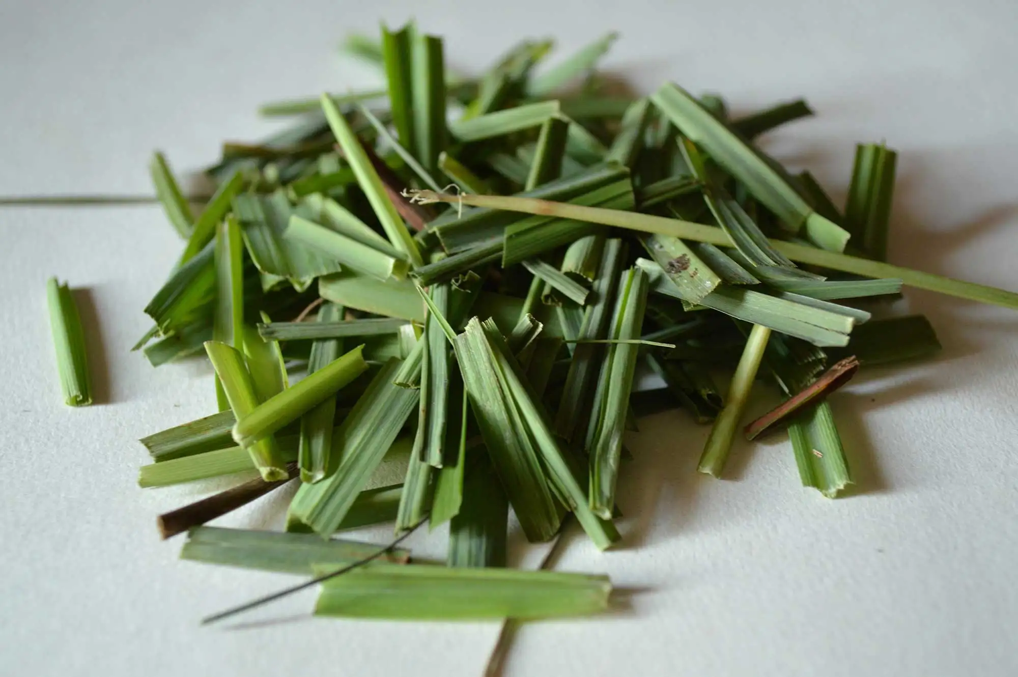 
Top Quality Organic Dried Lemongrass Leaf from Trusted Supplier/ Ms. KIO HYUNH +84 34 375 8904 