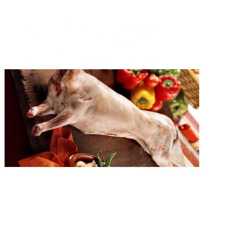 Свежий 100% корм для травы, мясо ягненка из Казахстана