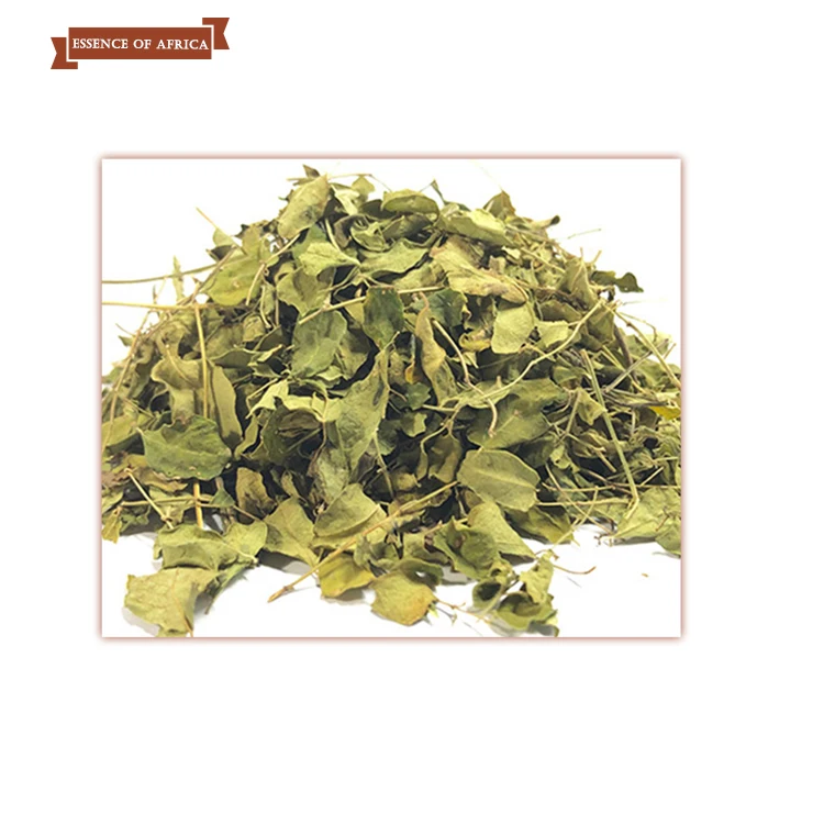 100% Organic Dried Moringa  Oleifera Leaves Non GMO Caffeine free Gluten free From  World Wide Supplier