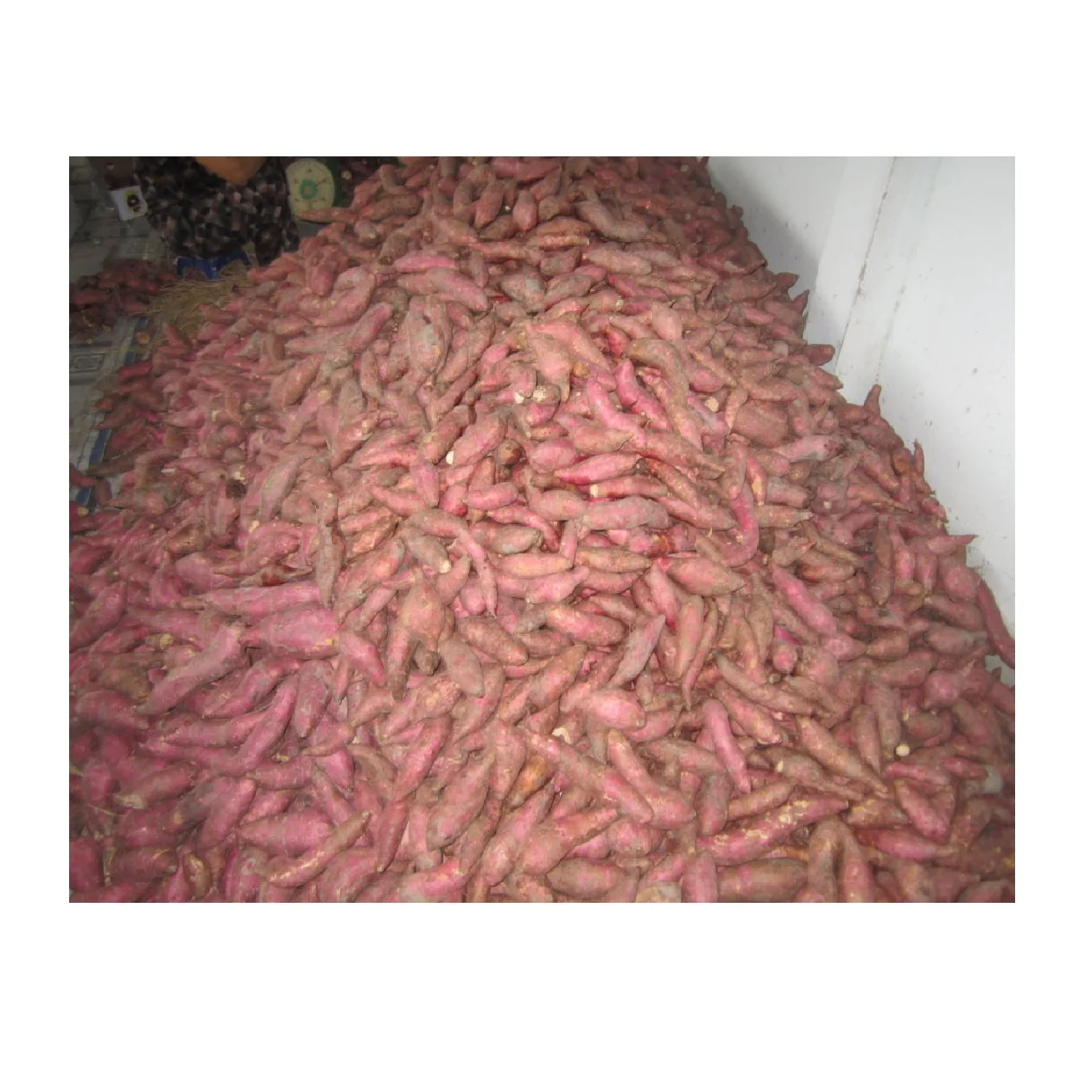 Лучшая цена оптом свежий сладкий картофель вьетнамские овощи-высококачественный