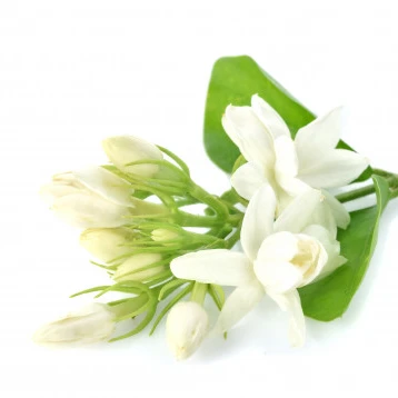Масло жасмина для длинных волос от SNN Natural Products