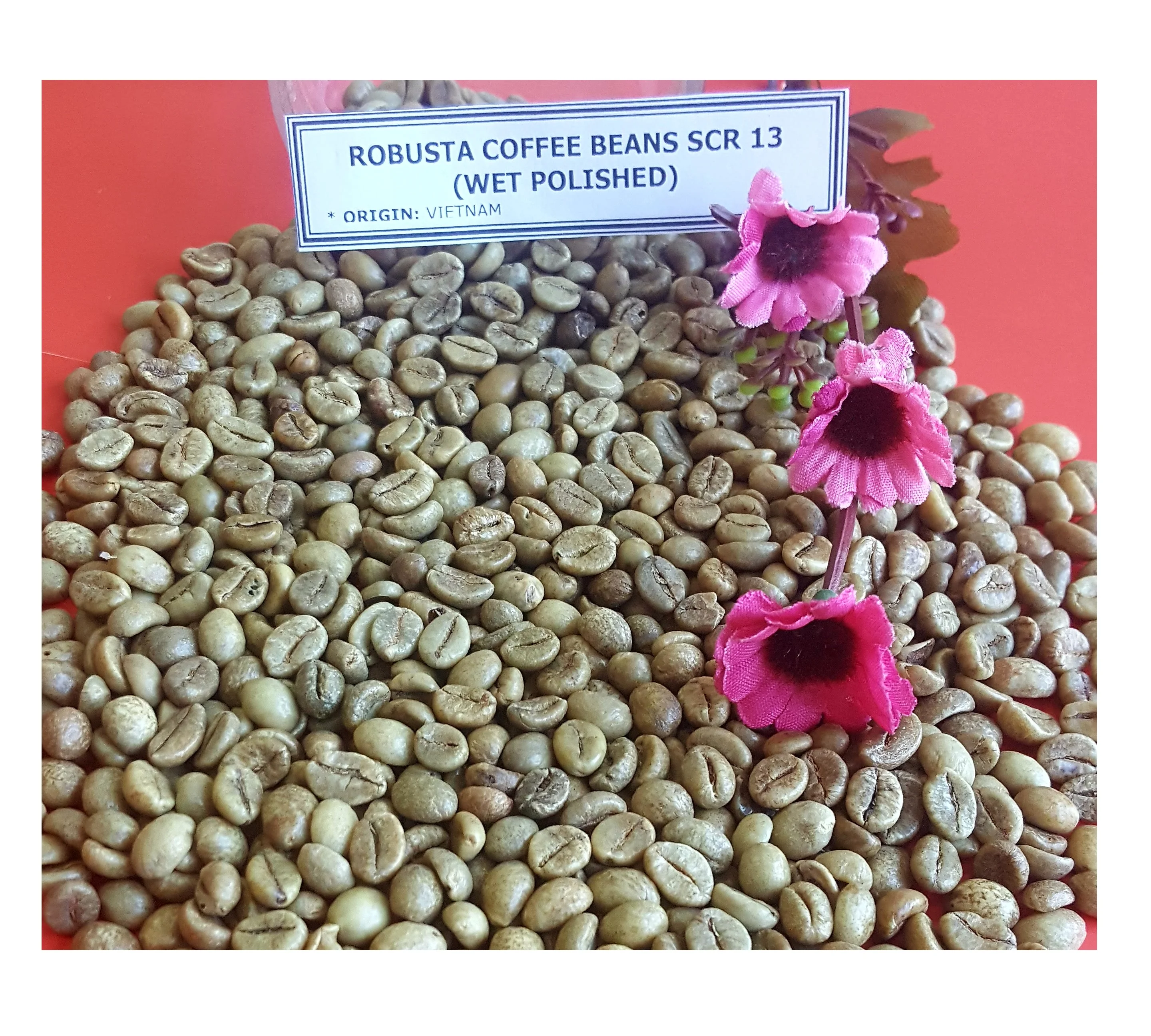 
AA Grade and Robusta Variety robusta coffee bean( 0084 989 322 607 whatsapp) 