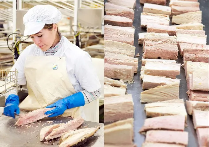 Лидер продаж консервированные продукты консервированная рыба фабрика консервированный тунец в масле/в воде 185 г