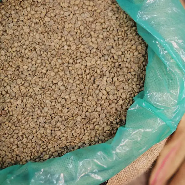 
Competitive Price Cau Dat Robusta Green Coffee Bean Honey Process Dry Process As Requirment 