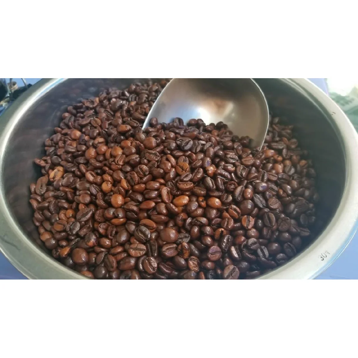 
Shelf Life 2 Years 98% Maturity Common Cultivation Type Pure 12.5% Max Moisture Coffee Bean 