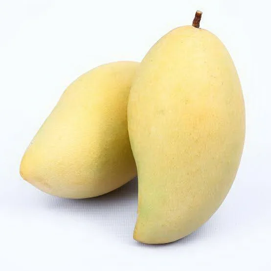 
Fresh Mango Nam Dok Mai High Quality From Thailand 