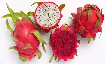 
FRESH DRAGON FRUIT / WHITE FLESH AND RED FLESH DRAGON FRUIT 
