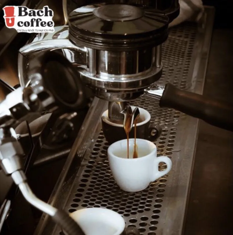 Roasted Coffee Beans Arabica/ The Best Espresso Beans from Viet Nam Super Healthy Arabica for Peak Performance/ wholesale retail