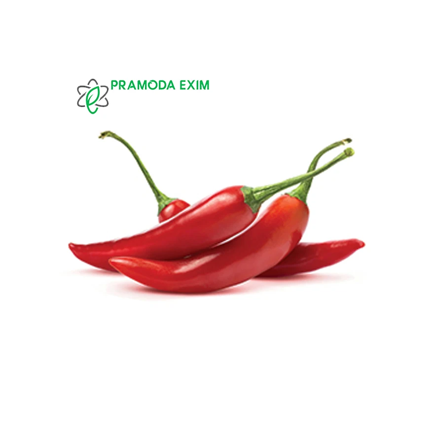 High Quality Organic Red Chill Single Spices And Herbs From Indian Manufacturer
