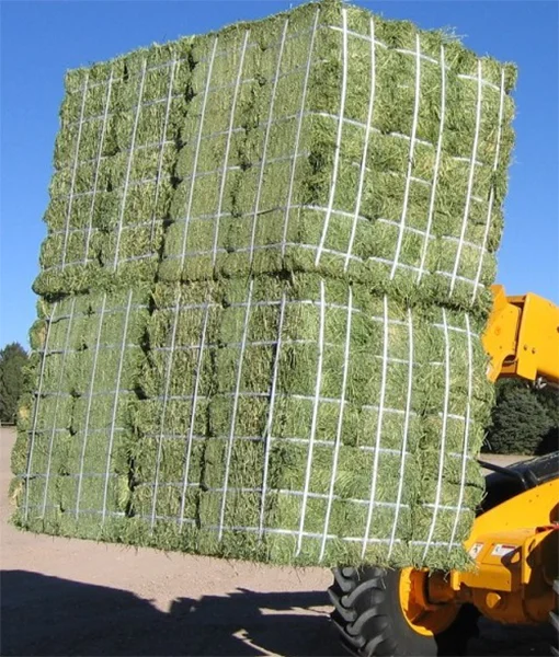 Alfalfa Hay for Dairy Cattle