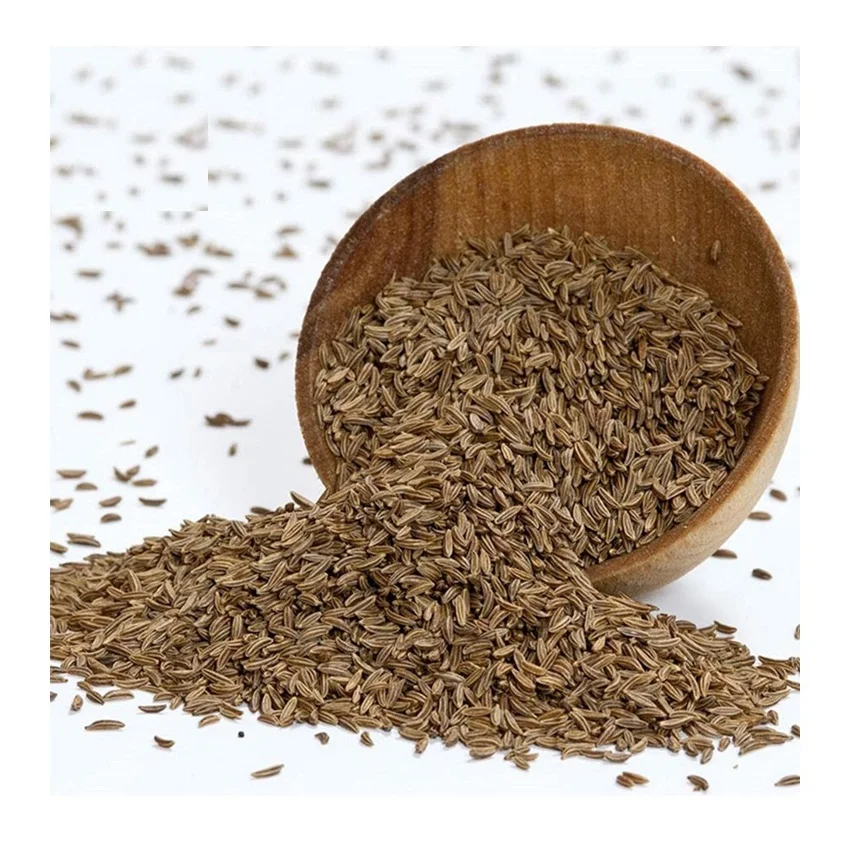 Wholesale Dealer Of Cheapest Price Dried Caraway Seeds
