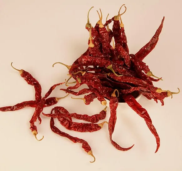 273 Wrinkle red chilli high quality india origin 273 wrinkle chilly best quality