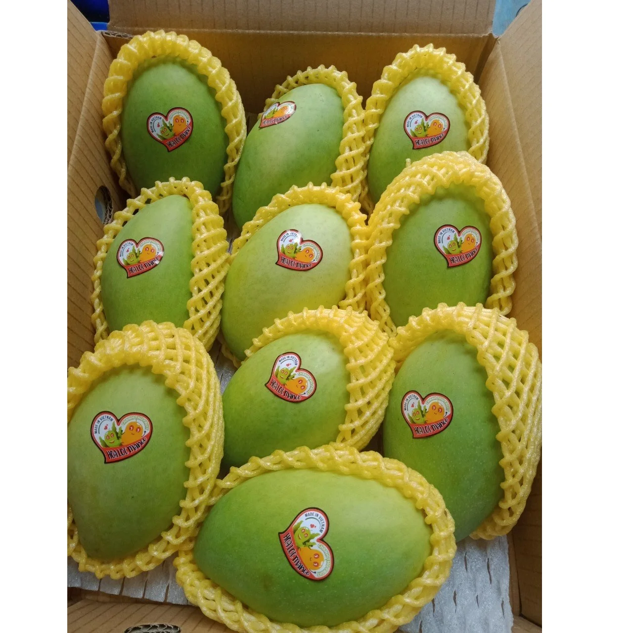 Cheap Price 10 kg/ctn 24 months Shell Life Sweet Taste Year Round Season Frozen Mango Export From Vietnam