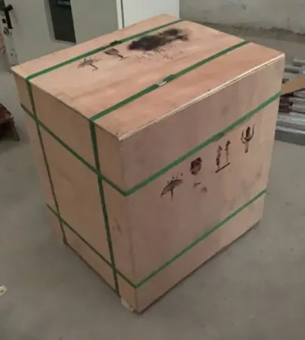 exported to Colombia Fermented Black Garlic Machine