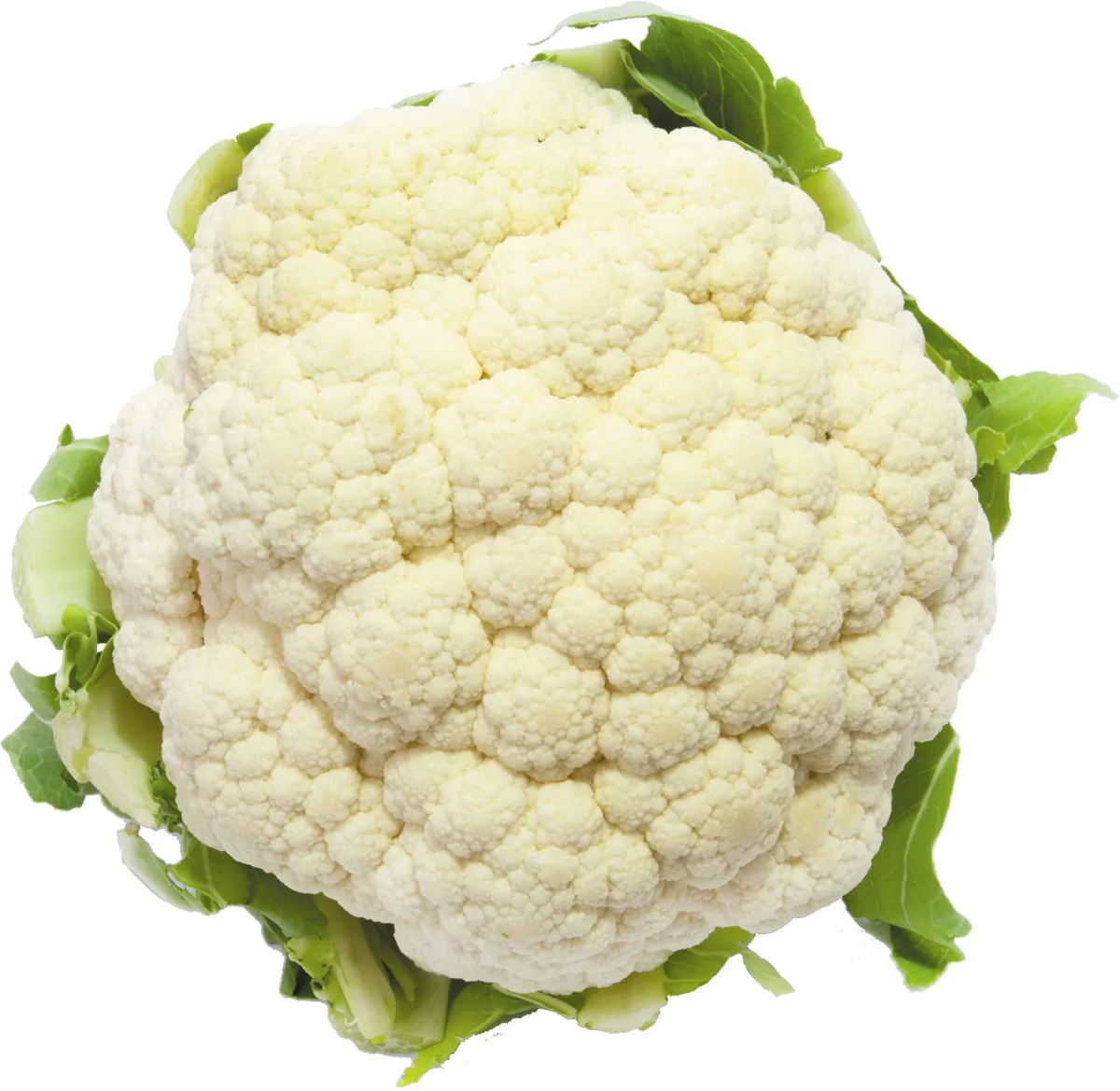 Wholesale Best Quality Fresh Cauliflower For Sale In Cheap Price