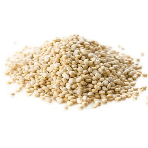 Good Quality Pure Quinoa Grains Cheap Rate Quinoa Grains