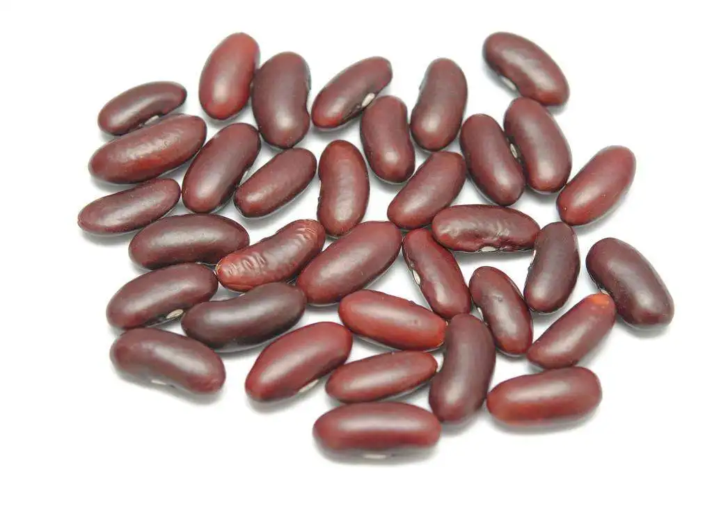 Red Kidney Beans  Yunnan Red Kidney Beans For Canned Purple Kidney Bean for sale