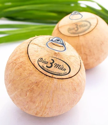 Vietnam 100% BENTRE FRESH WHOLE COCONUT WATER