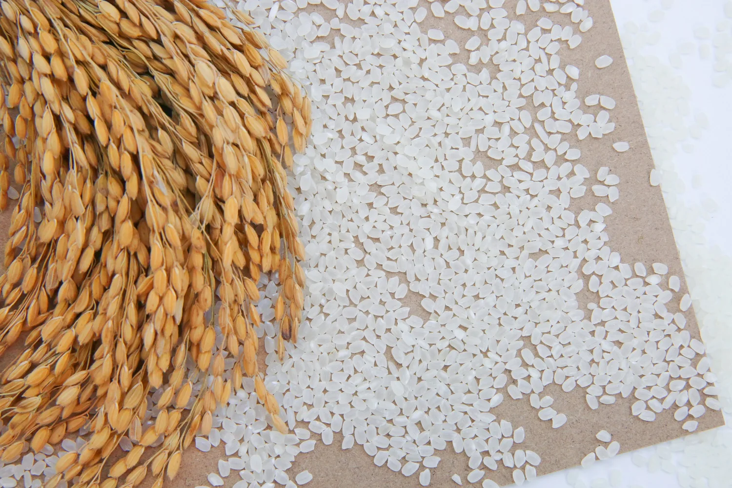 
From Viet Nam High Quality Fresh Aromatic Rice White Rice Organic Japonica Rice 