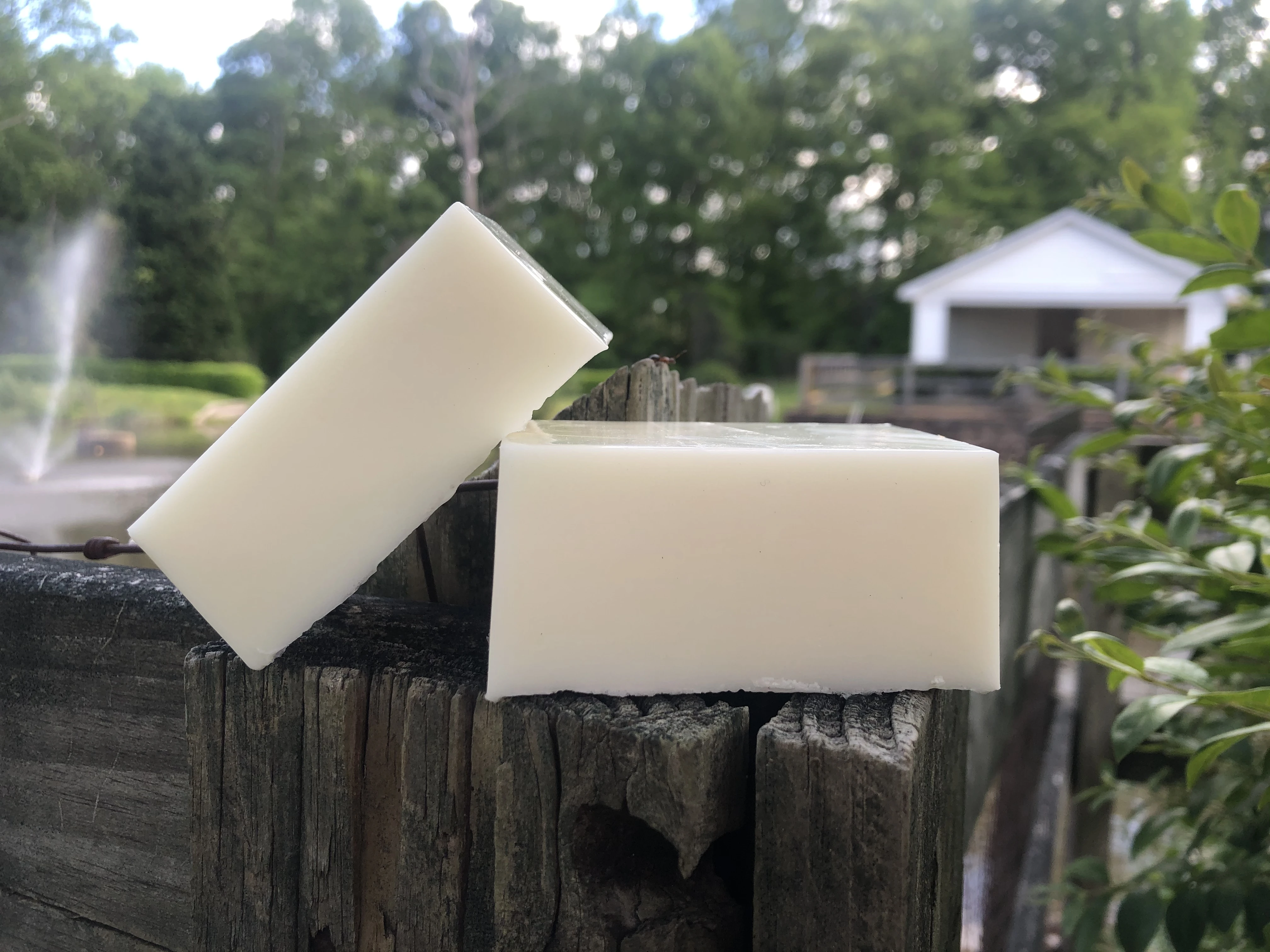 Body Soap Donkey Milk Soap Base