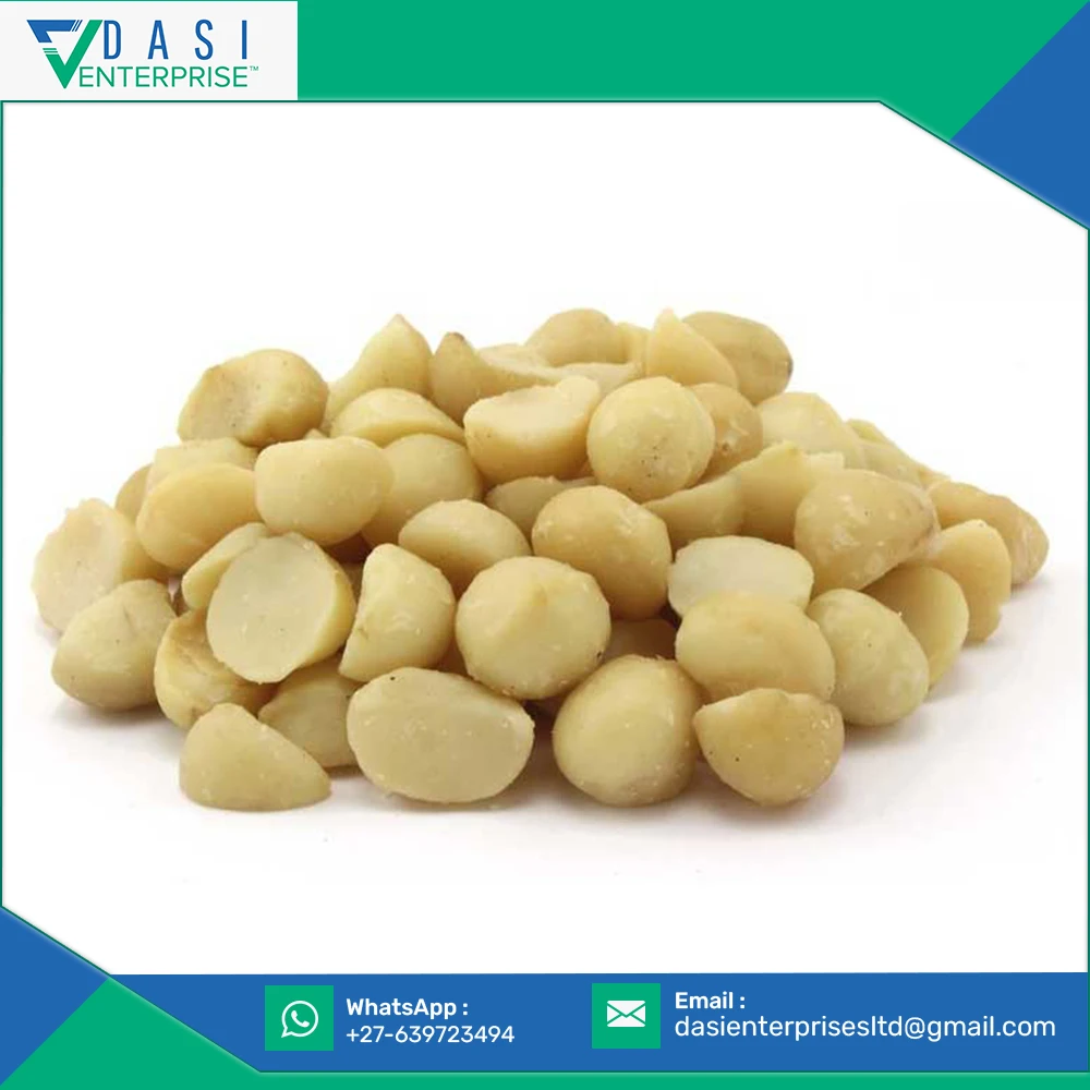 Fiber Rich Valuable Delicious Raw Organic White Macadamia Nuts Kernel At New Selling