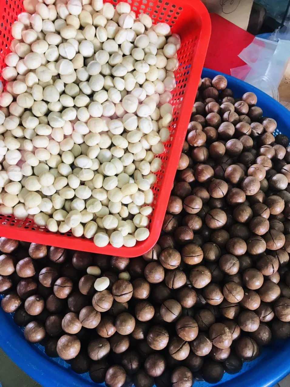 Сушеные Семена макадамии из Вьетнама Sven + 84 966722357