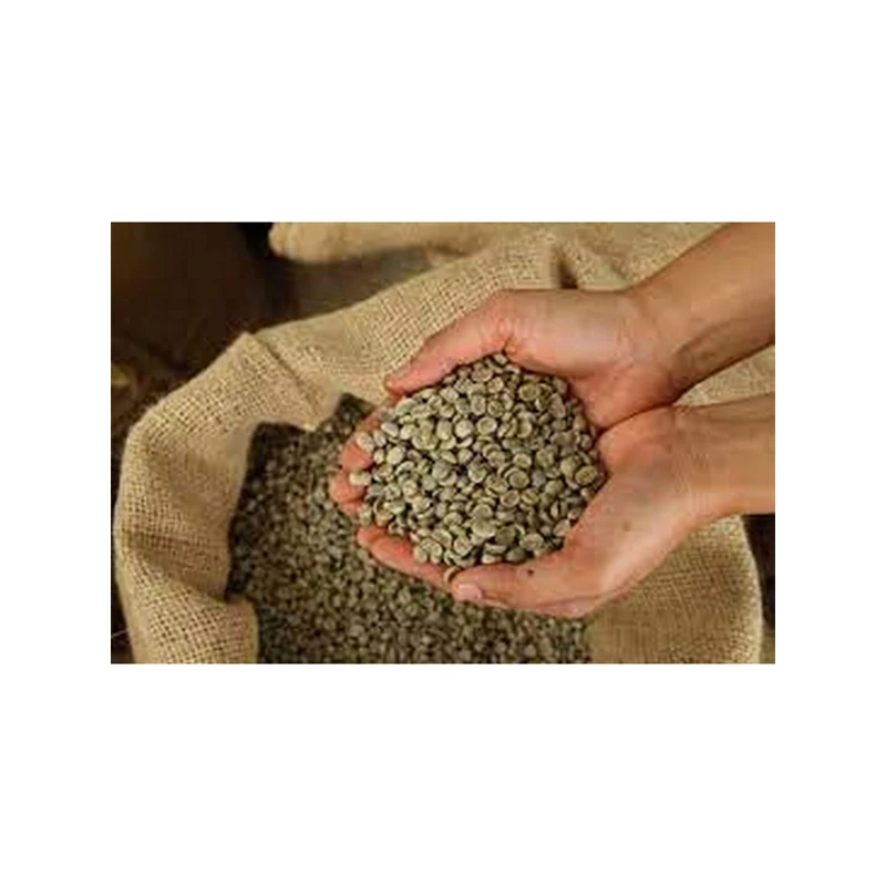 Зеленые кофейные зерна лучшего качества, Конго HTM/N/M MOMBASA, сертификат происхождения, Robusta, готовый к экспорту