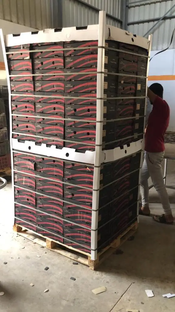 Pomegranate / Fresh Pomegranate