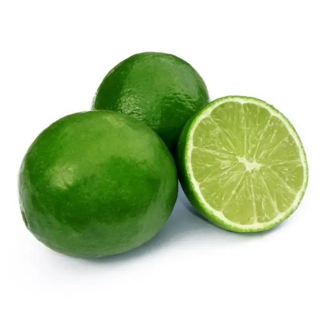 Fresh High Quality Green Seedless Persian Lime for