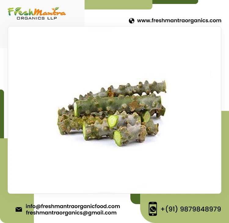 Guduchi & Giloy Herbal Powder Best For Healthy Immune System Natural Transport Cordifolia Guduchi, Gurjo, Heart-Leaved Moon seed