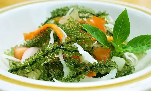 DEHYDRATED SEA GRAPES WITH BEST PRICE FROM VIETNAM / Amber