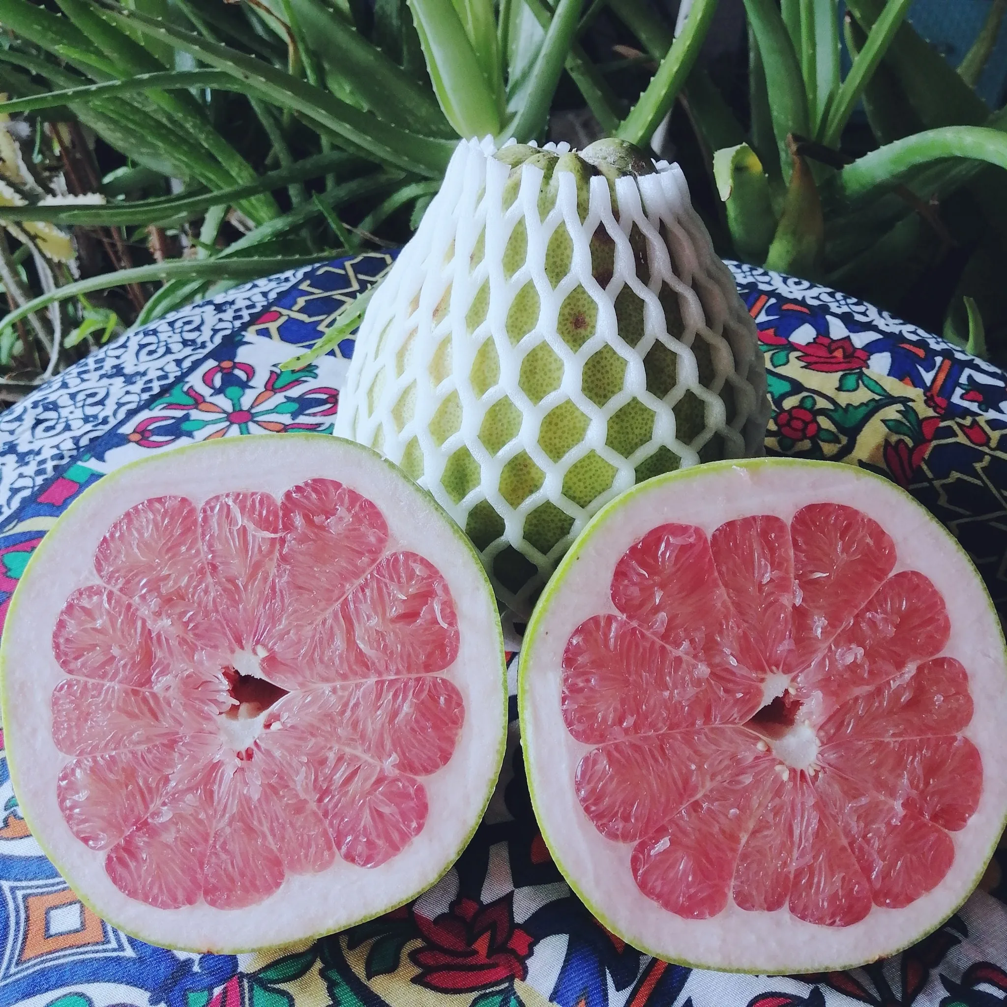 Natural from Thailand Premium Fruit Fresh and Sweet Ruby of Siam Pomelo
