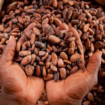 
 Сушеный порошок какао для экспорта  