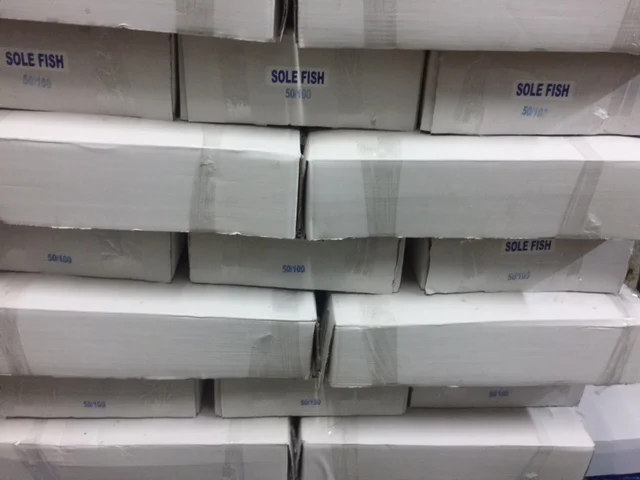 Свежий замороженный язык подошва рыба экспорт из Индии