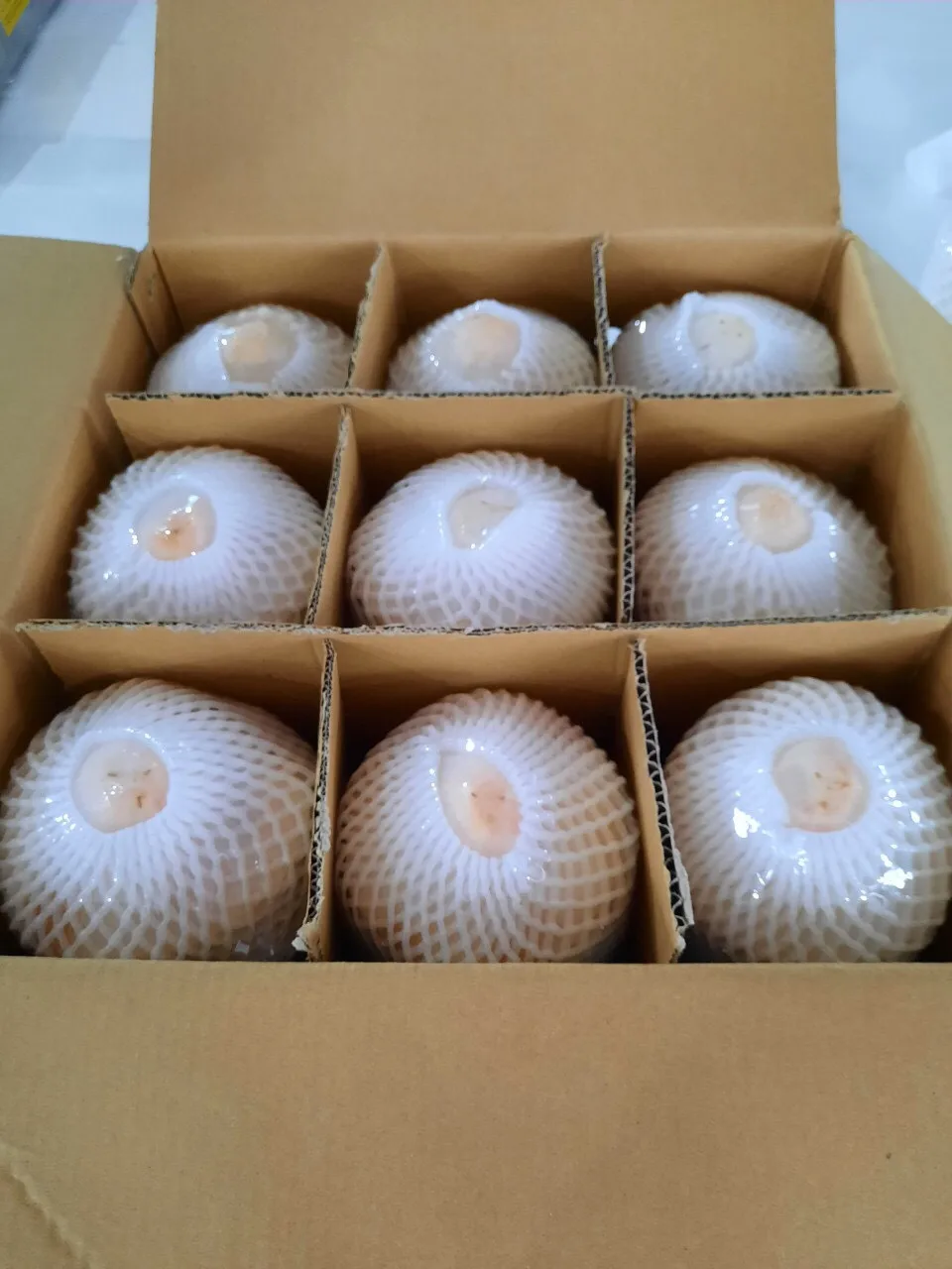 Fresh Coconut Diamond Cut Coconut No Husk Made In Vietnam High Quality 100% Natural Sweet Fresh