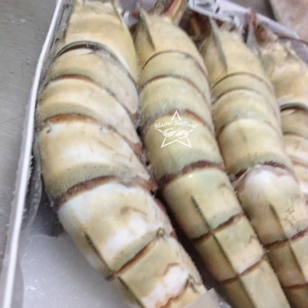 Ocean Tiger Shrimps Semi-IQF Head On Shell On Net Weight Net Count Custom Packing Best Quality Size U4 U5 U6 U8 U10 U12 U15 U20