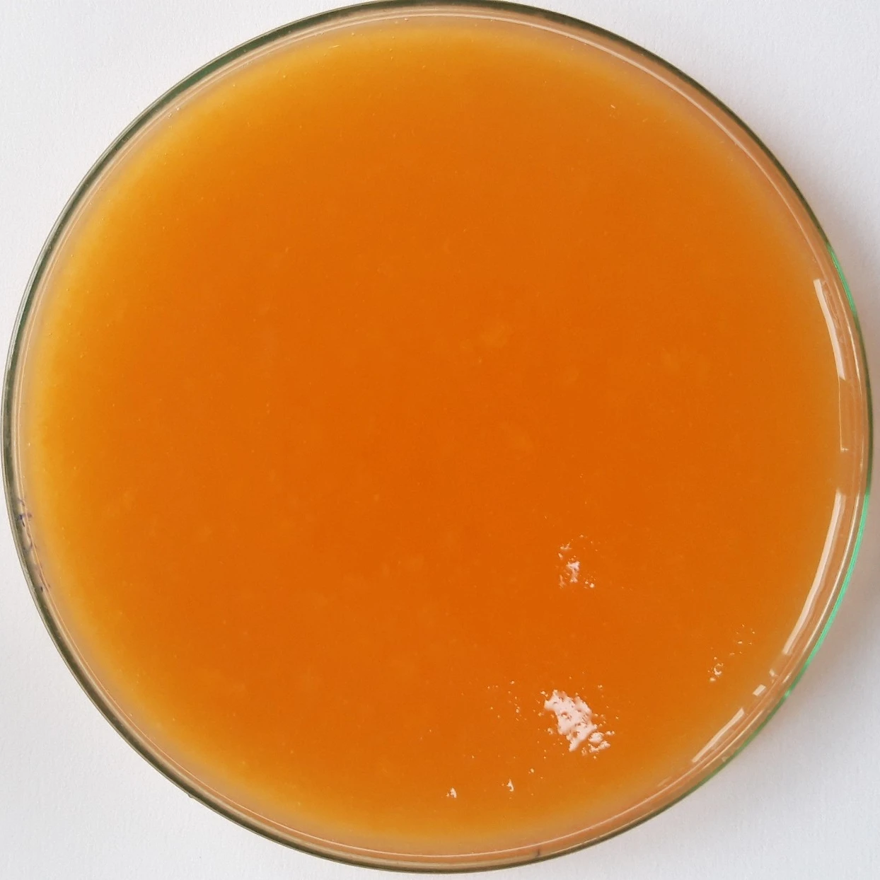 Yellow Papaya puree - A huge source of vitamin A