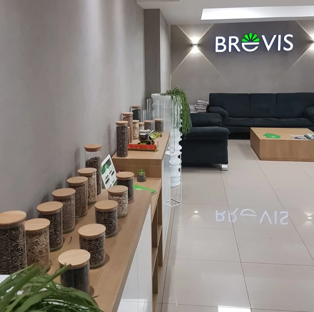 Black  sunflower seeds Nut & Kernels Snacks Roasted sunflower seeds cheap price Wholesale Packaging Private Label