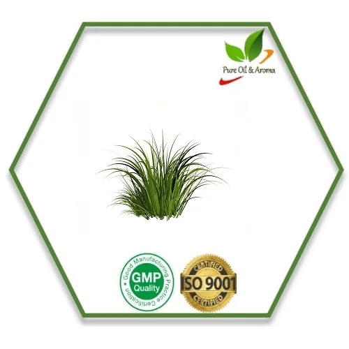 Vetiver Plant Extract Essential Oil Exports in Bulk