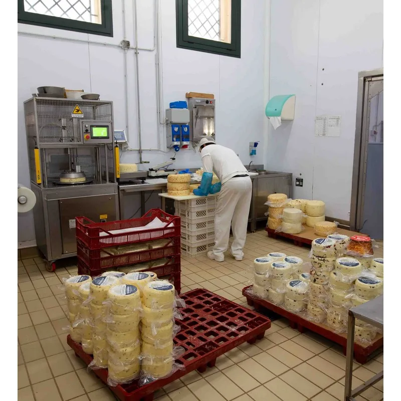 High Quality Italian PRIMOSALE cheese Sheep Milk with olives 0.2kg Vacuum pack for cooking Ready for export