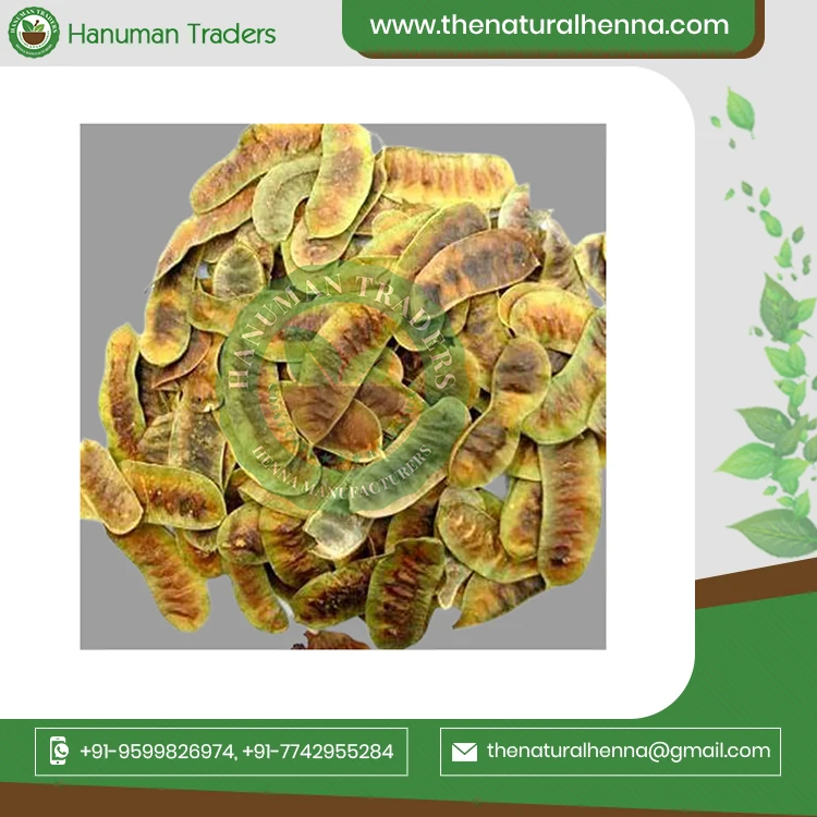 Pure Original Senna Leaves And Pods For Tea Industries Buy From International Exporter From India