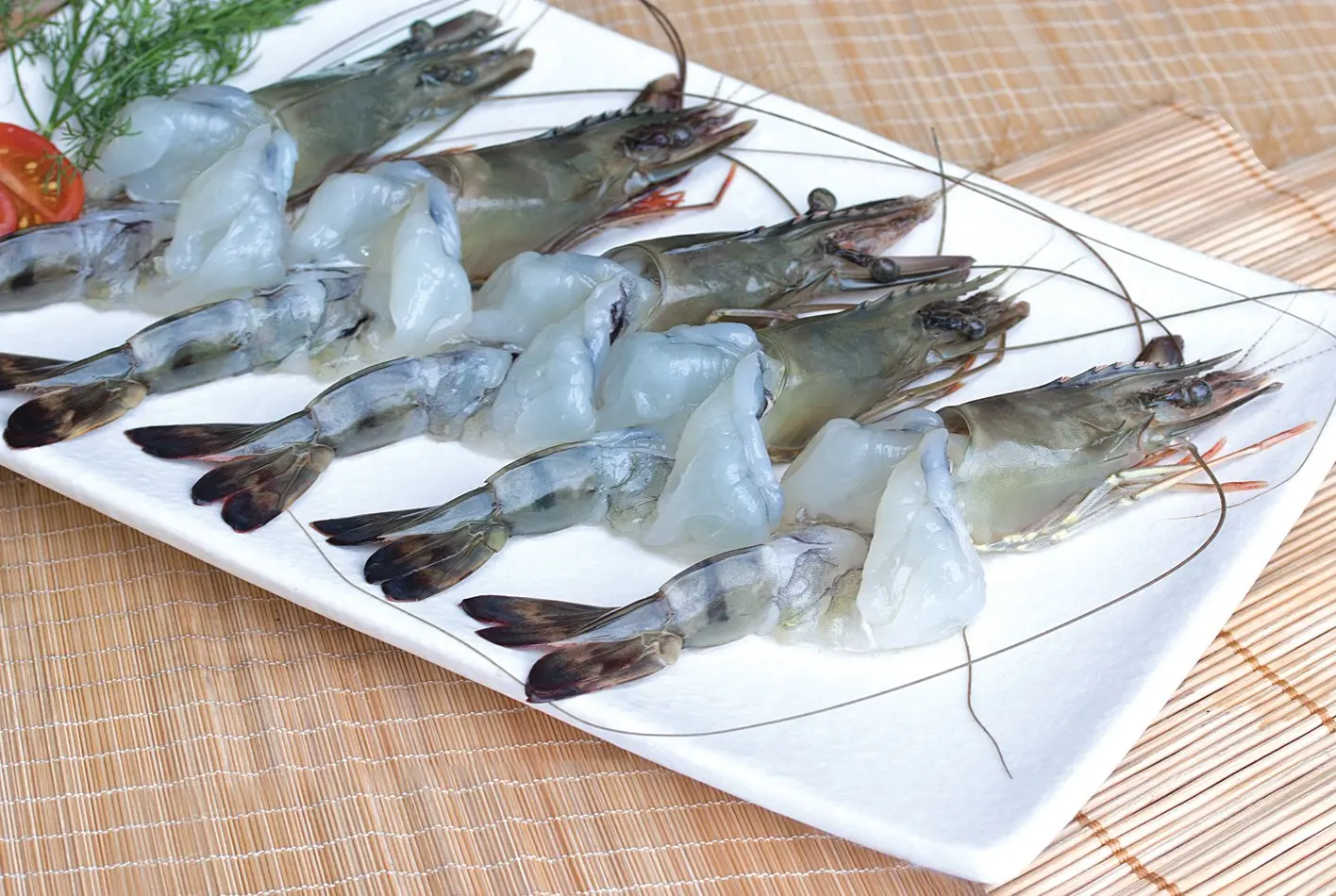White leg shrimp PD deveined with good price